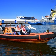 Kw-de-nijs-3